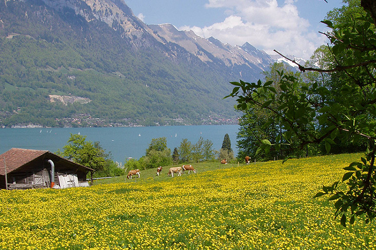 Michels B&B Diverses 101
